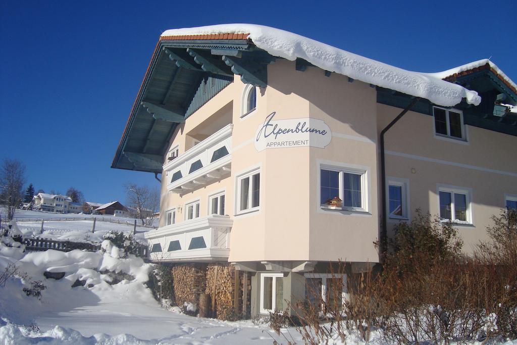 Appartement Alpenblume Schladming Buitenkant foto