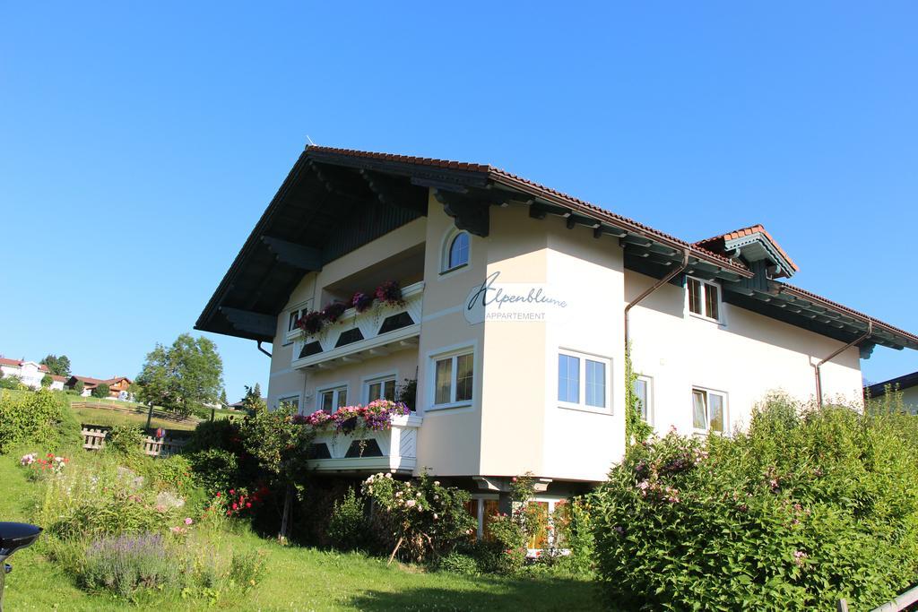 Appartement Alpenblume Schladming Buitenkant foto